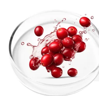 Cranberry Extract