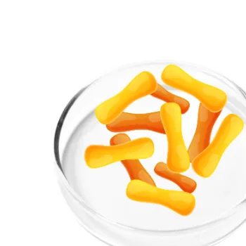 Lactobacillus Casei